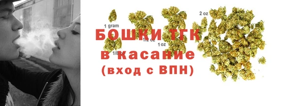 стаф Алексин