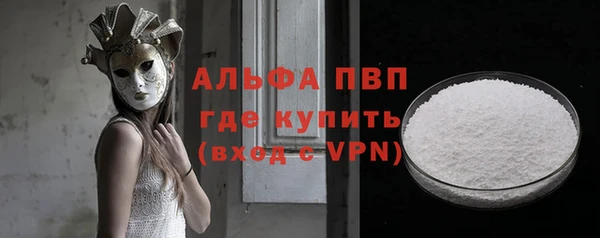 стаф Алексин