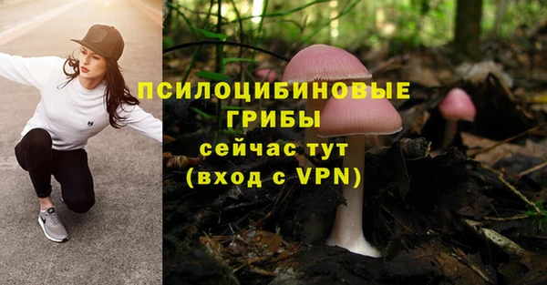 стаф Алексин