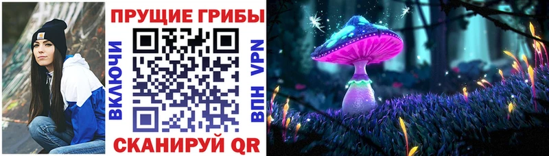 Купить где  Выборг  Галлюциногенные грибы мицелий 